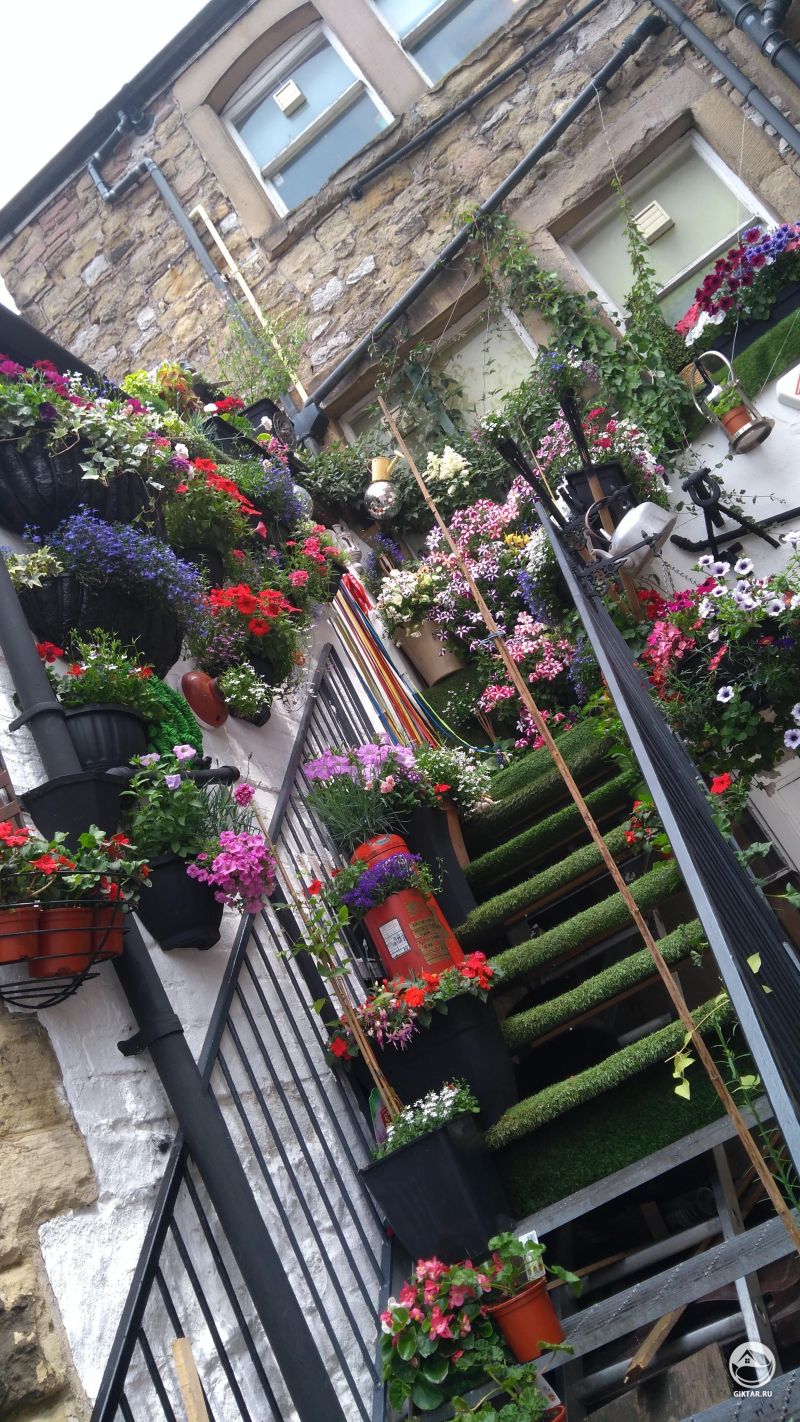 У меня нет сада, зато есть лестница. Так что нет проблем!