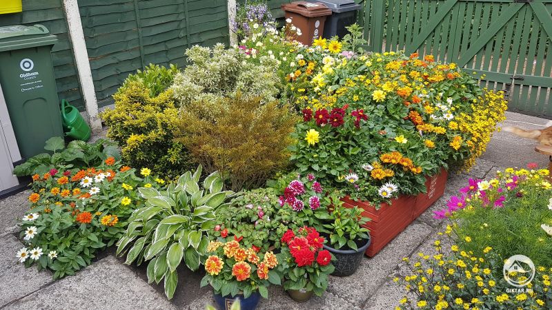 Мой райский уголок для опылителей.