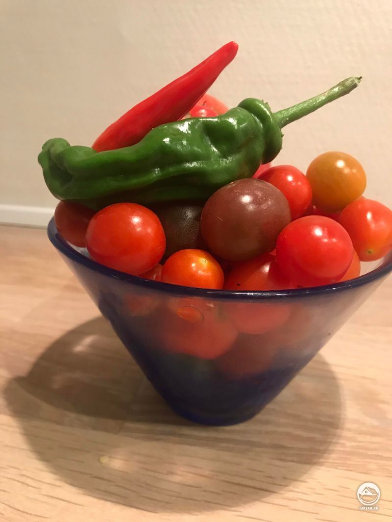 Томаты и перцы - урожай 2020