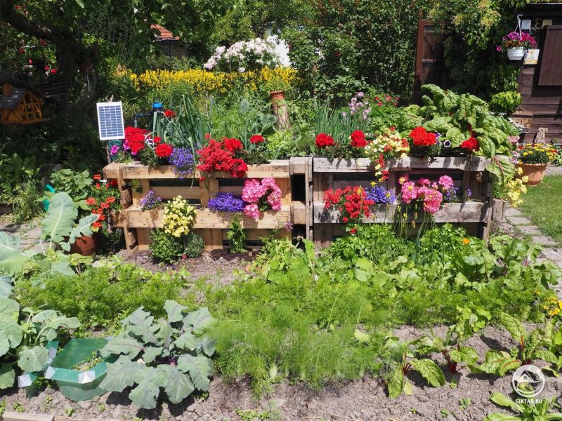 Мои клумбы из поддонов не перестают меня радовать! И авто-полив на солнечных батареях.