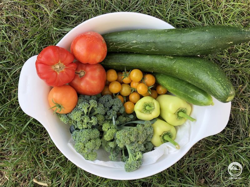 Помидоры, перец, цукини и немного брокколи - весь мой урожай в этом году.