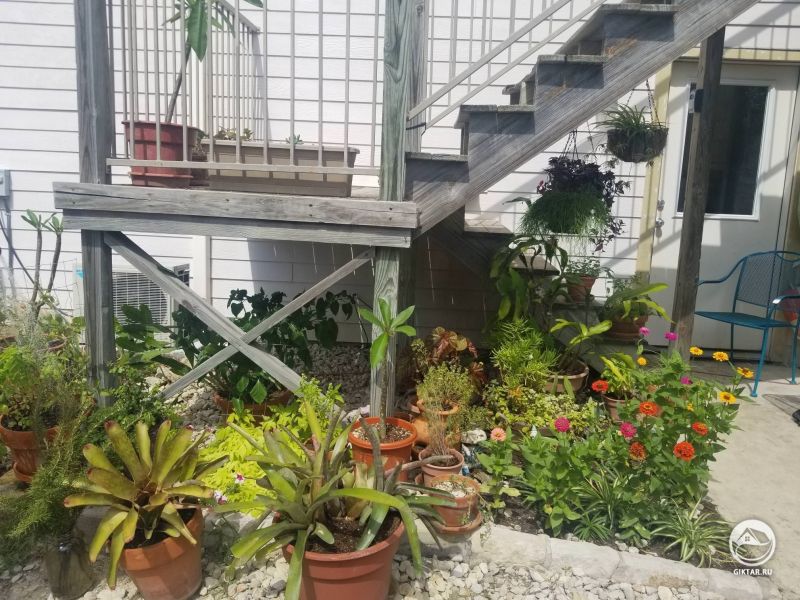 Еще несколько фотографий нашей маленькой лестницы в саду