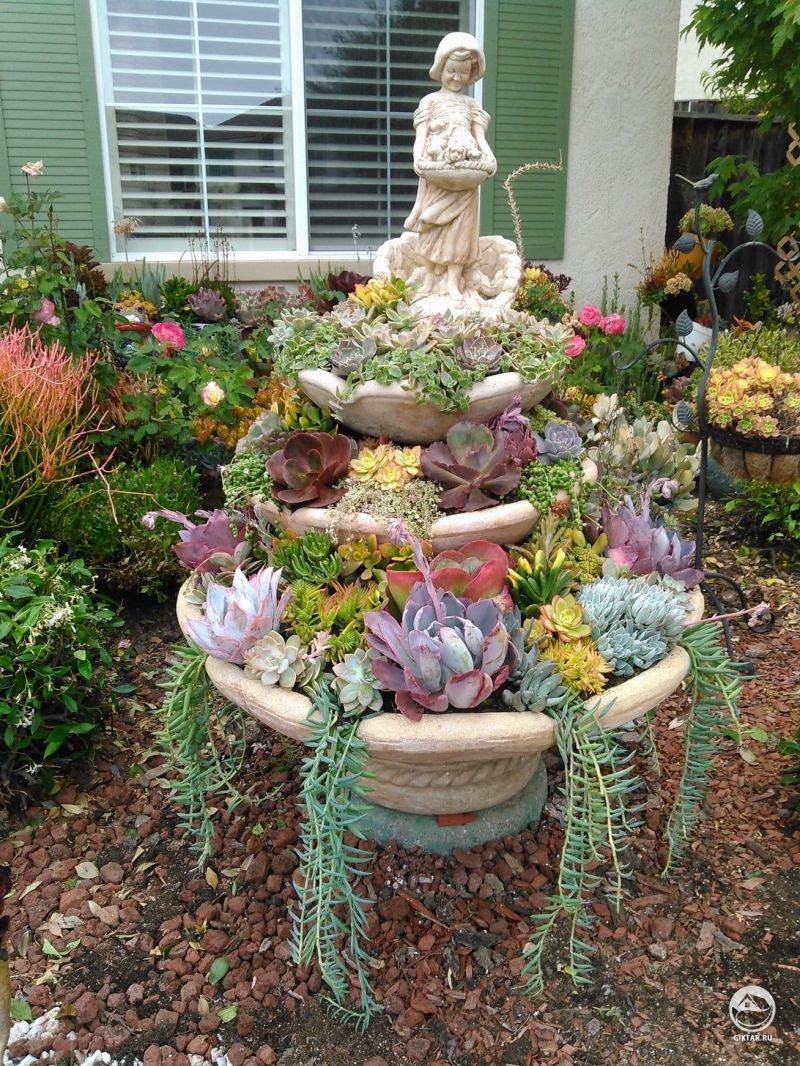 Фонтан из разных суккулентов