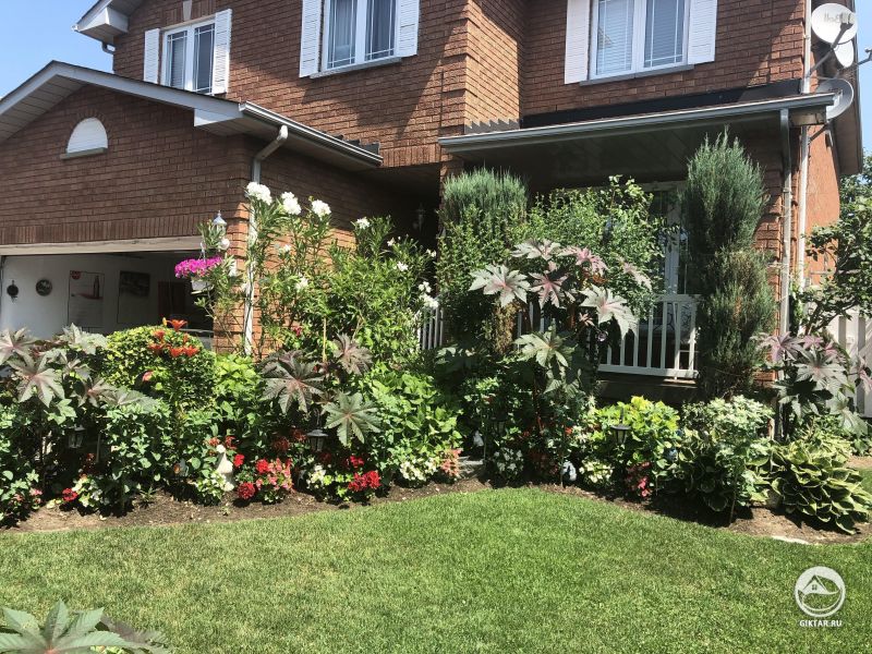 Садик моих родственников