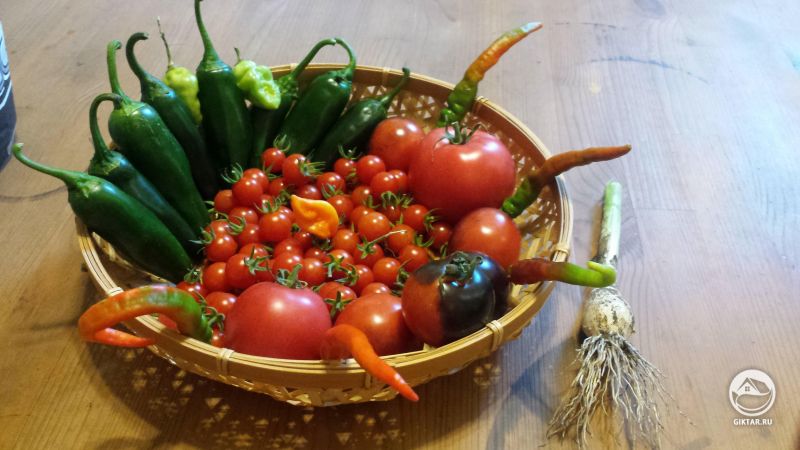 Урожай этого года