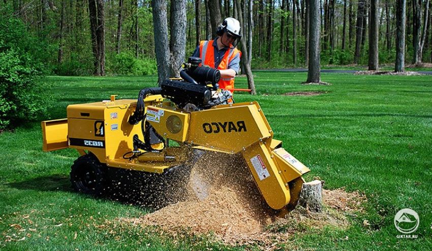Удаление пня с использованием пнебробилки Удаление пня с использованием пнебробилки