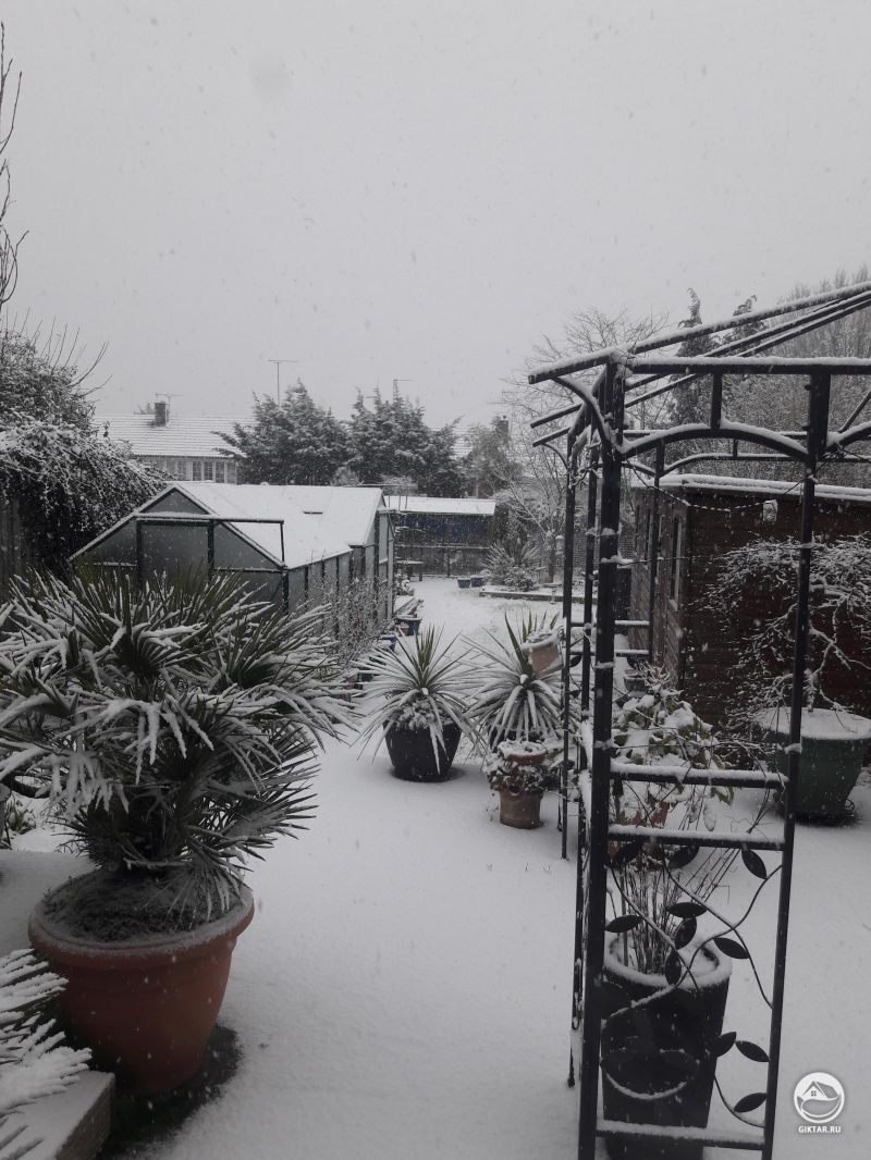 Южный край в снегу