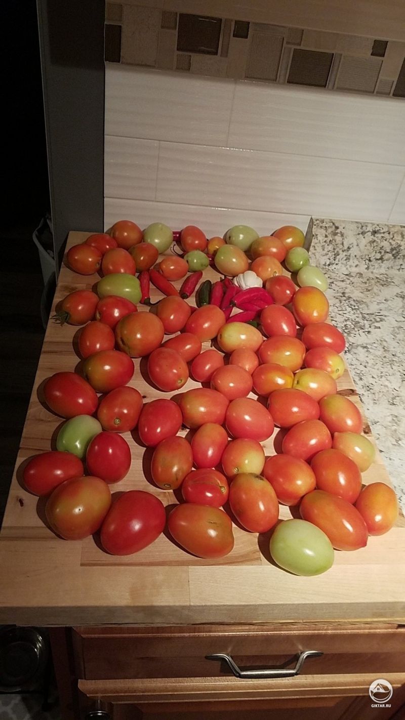 Уоржай томатов и немного перца