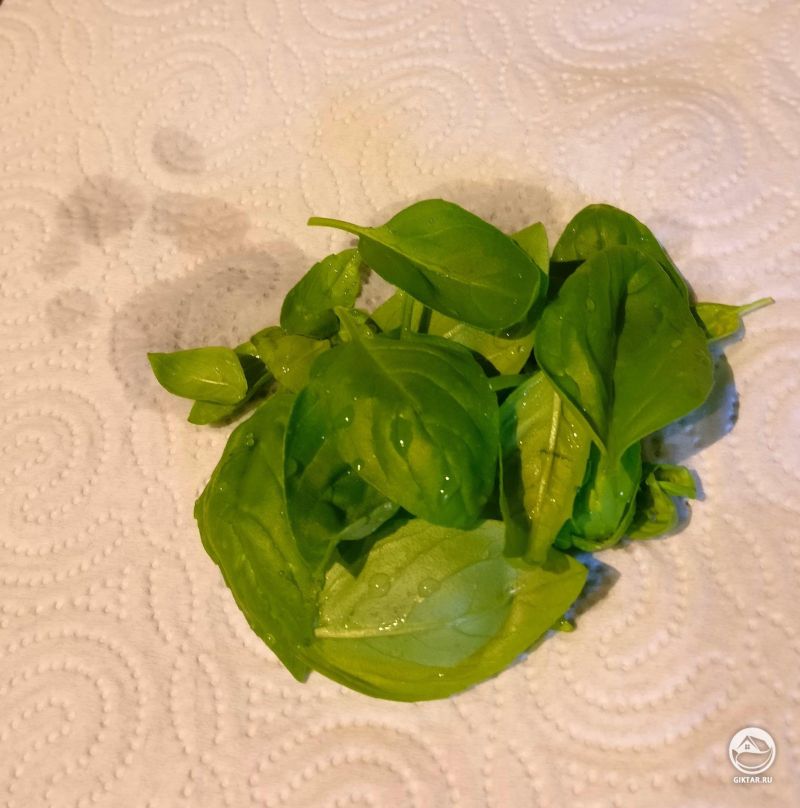 Мой первый урожай базилика! Не много, но мне пришлось бороться в нашествием тли.
