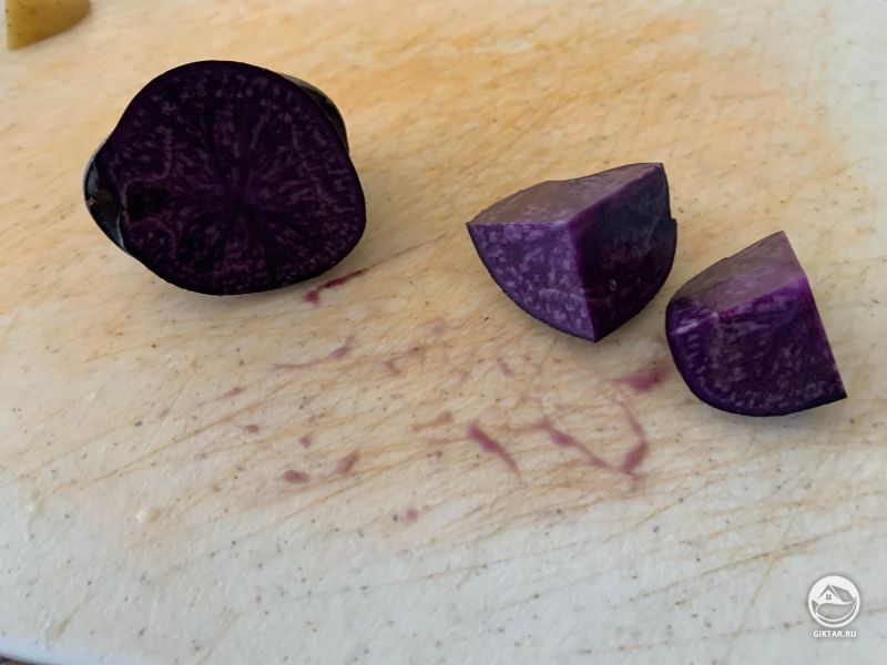 Картофель сорта Адирондак синий