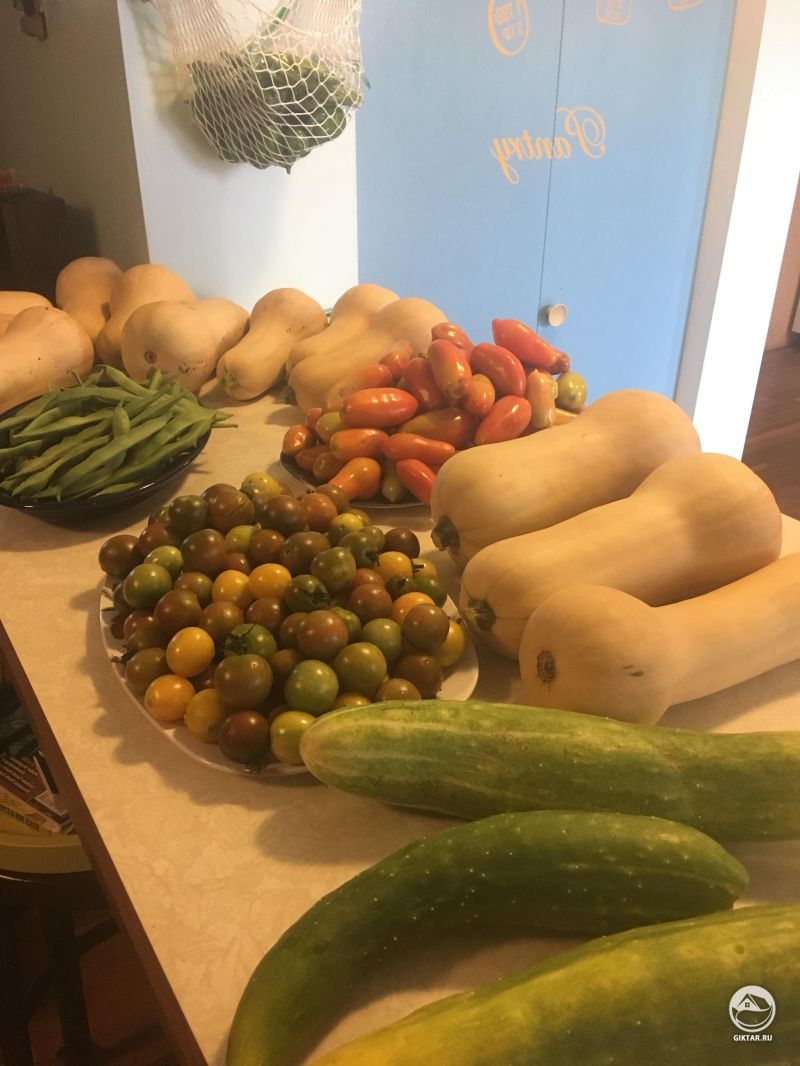 Урожай этого сезона.