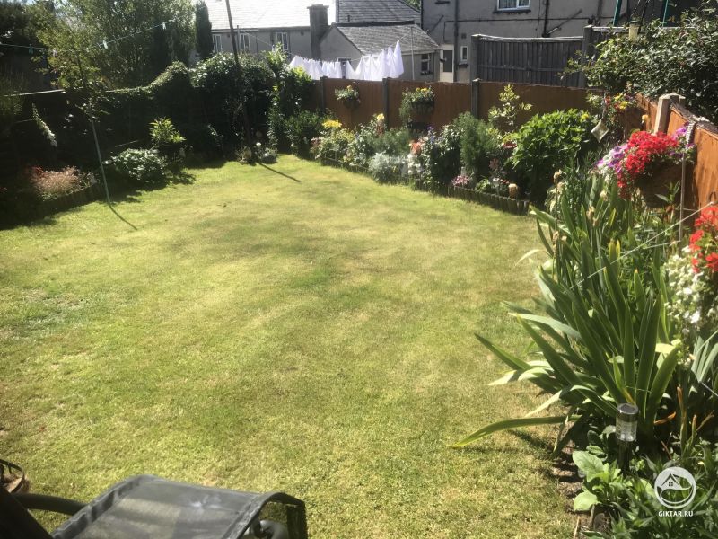 Мой маленький дворик с травкой и цветочками