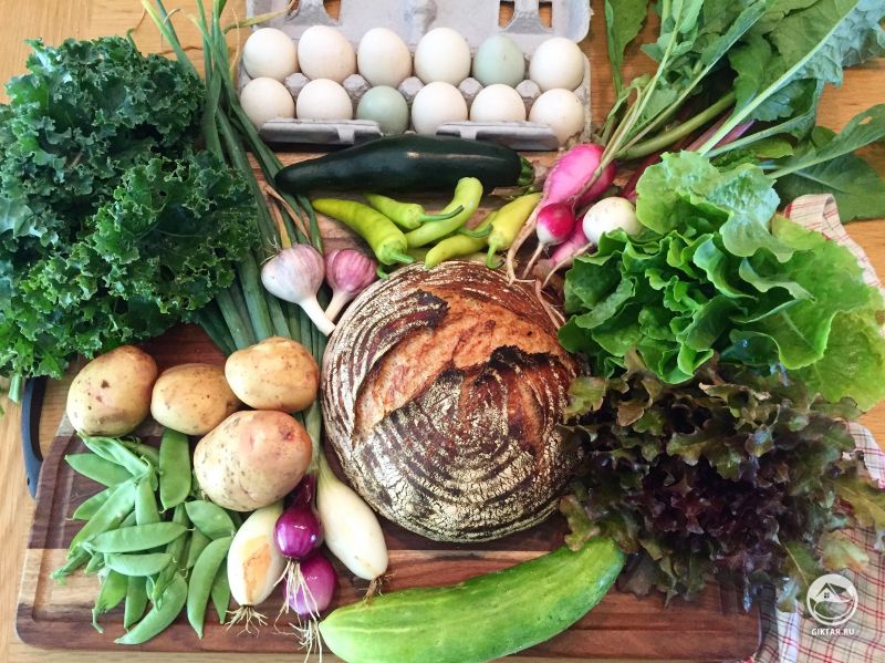 Наш сад слишком большой, в этом году мы решили поделиться с нашими друзьями и соседями. Урожай прошлой недели.