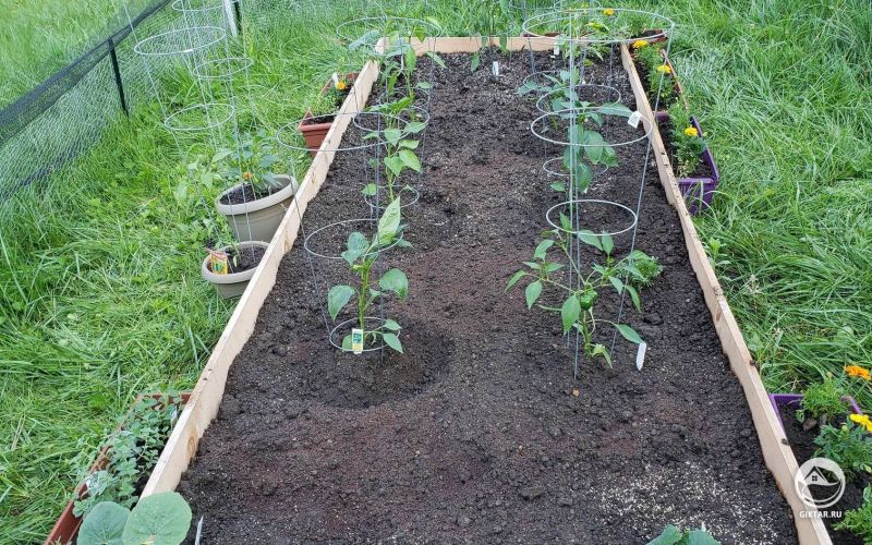 Моя первая грядка . Начало огорода положено.