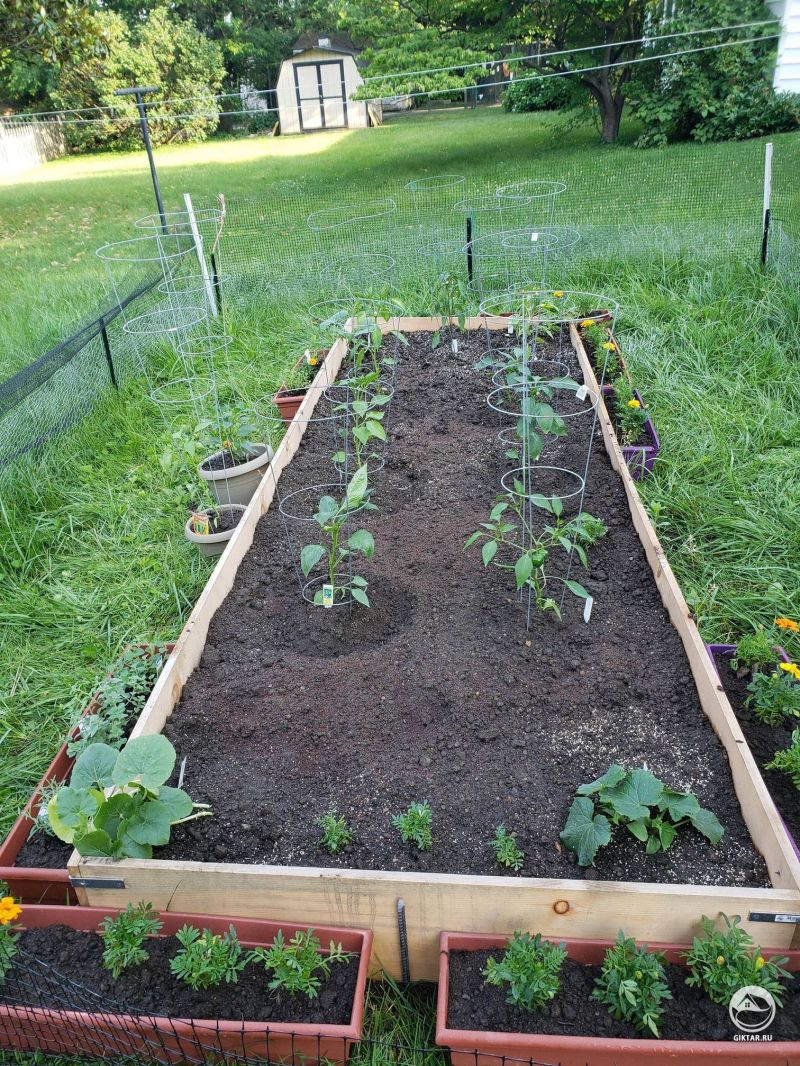 Моя первая грядка . Начало огорода положено.