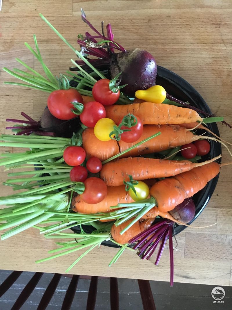 Собрали со своего огорода для сегодняшнего ужина