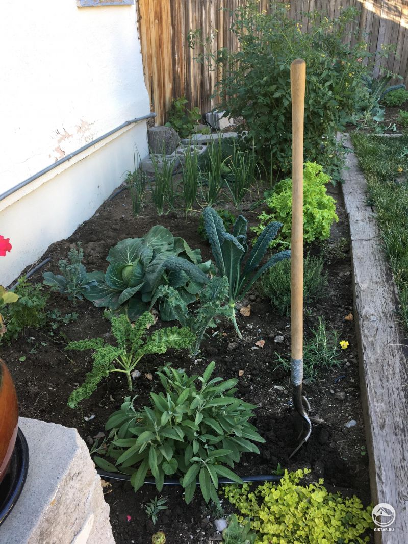 Мой маленький огород