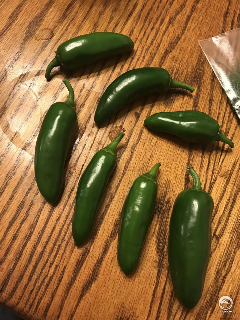 Сегодняшний урожай халапеньо.