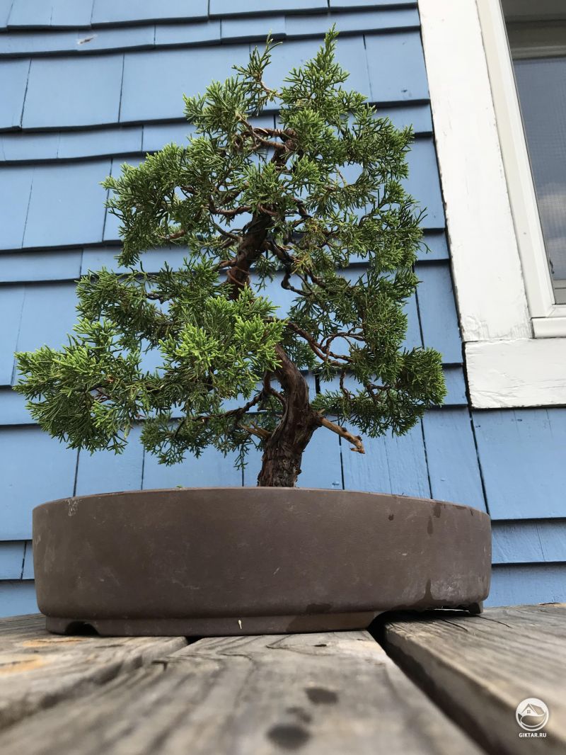 Вот новый для вас человек.