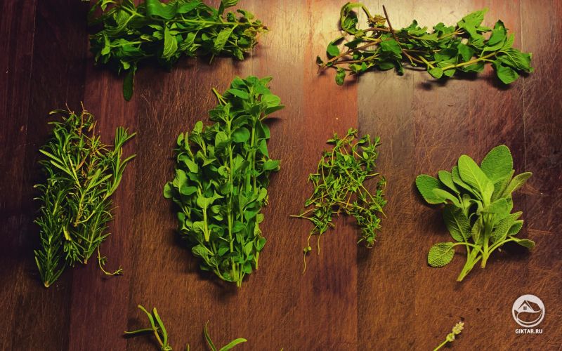 Урожай садовых трав