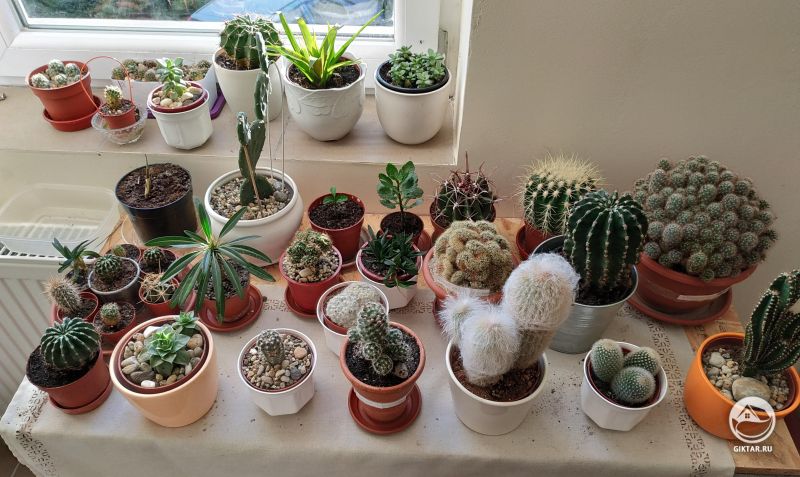 Моя коллекция готова к лету.