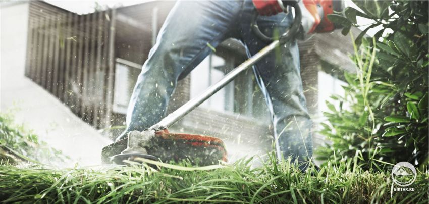 Как выбрать триммер