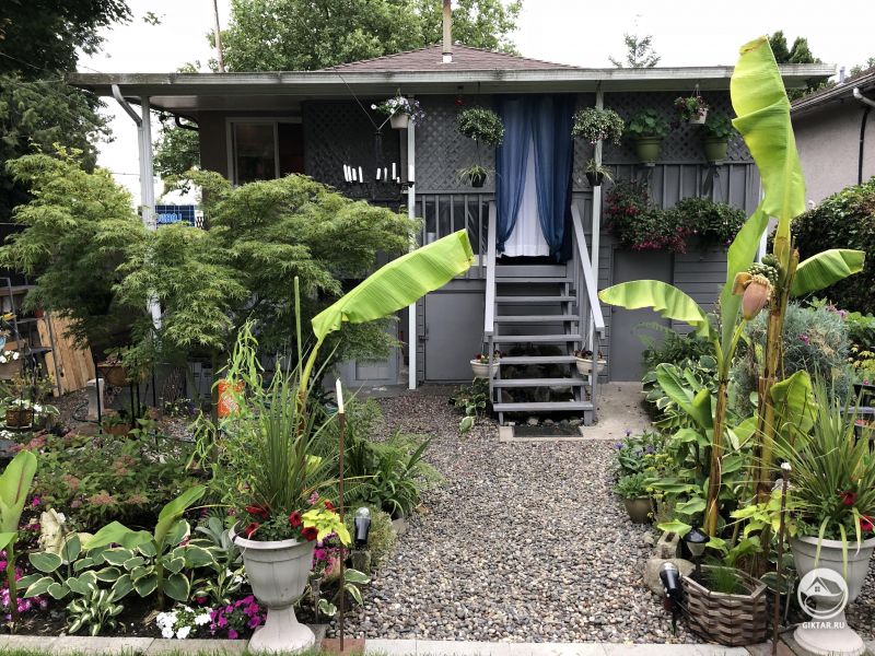 Мой домик у моря. Я потратила много сил и времени, чтобы чувствовать себя тут, как в джунглях.