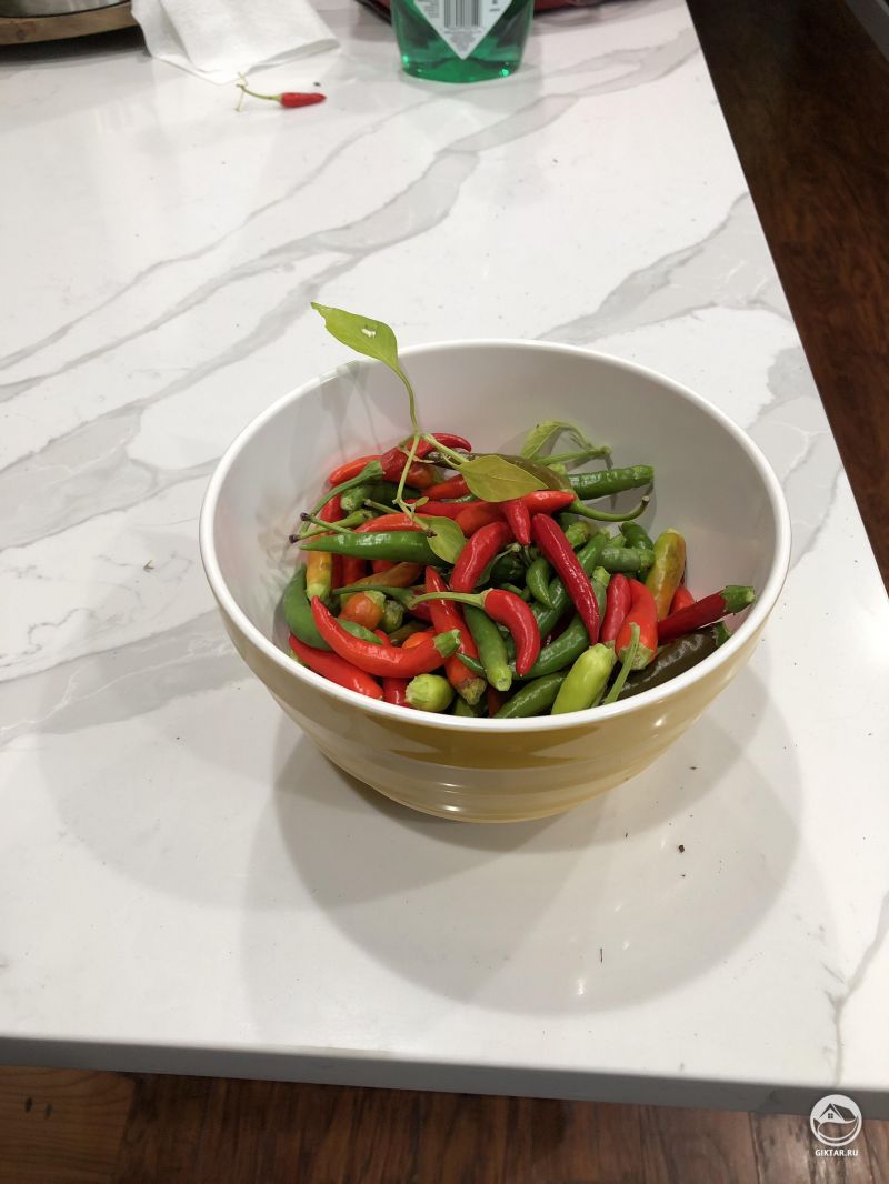 Острый перец