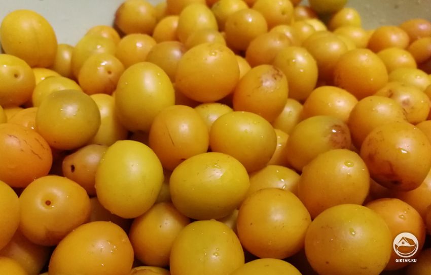 Алыча - мелкая желтая слива Алыча - мелкая желтая или красная слива. На вкус несколько кислее обычной сливы. Подходит для заготовок сладких и кисло-острых.