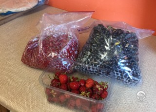 Собрали ягоды черной и красной смородины и клубники. Следующий шаг: джем, желе или заморозка.