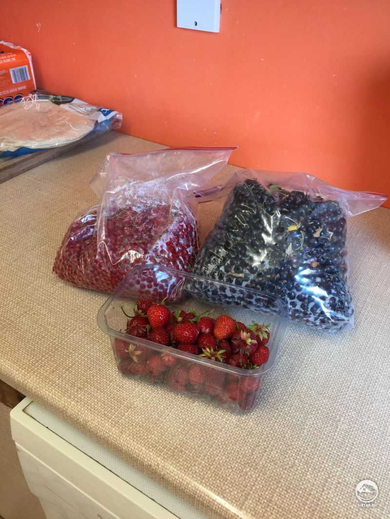 Собрали ягоды черной и красной смородины и клубники. Следующий шаг: джем, желе или заморозка.