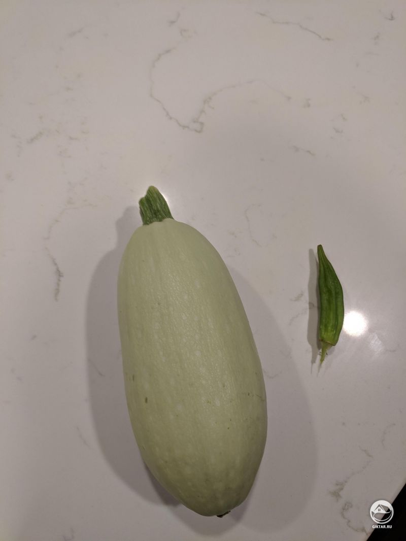 Мой урожай: кабачок и перец