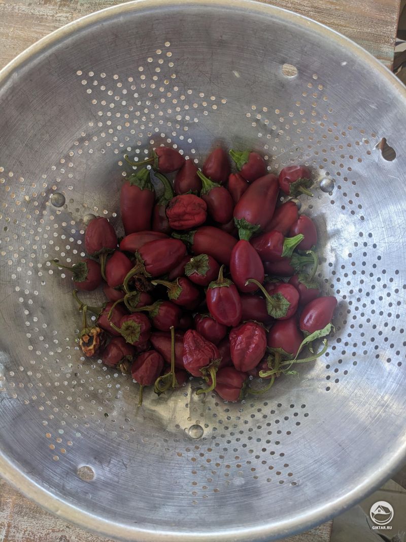 Урожай паприки