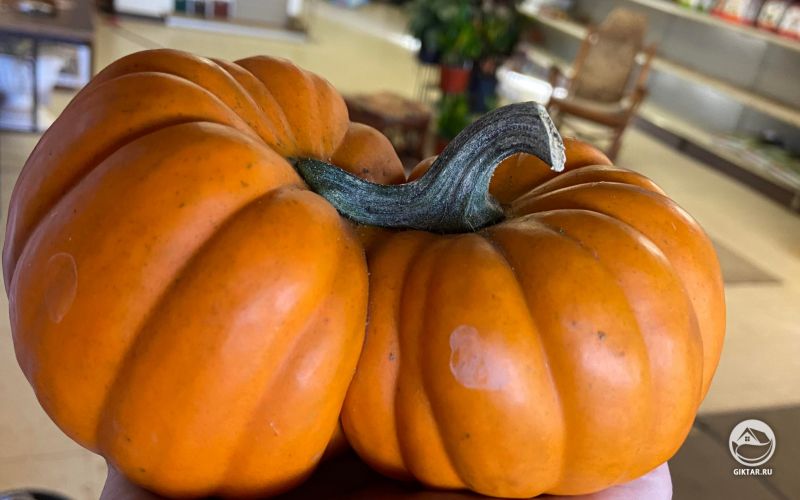 Сиамские тыковки