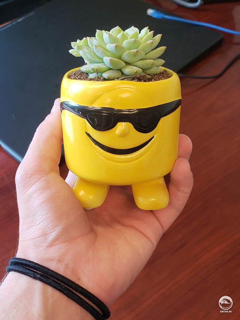 Я сегодня вступил в клуб!