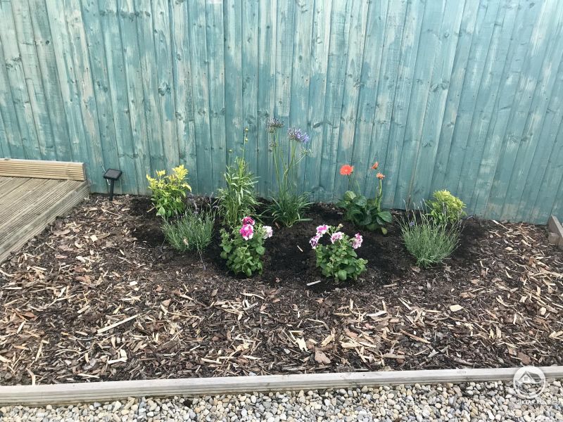 Это не так много, но моя девушка и я посадили нашу первую клумбу!