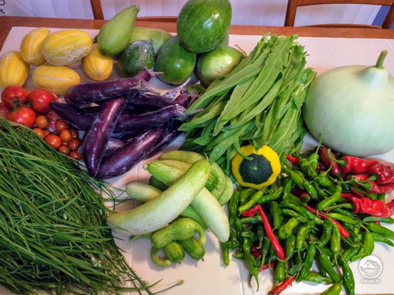 Обычно не выкладываю фото урожая, но сегодня захотелось ..