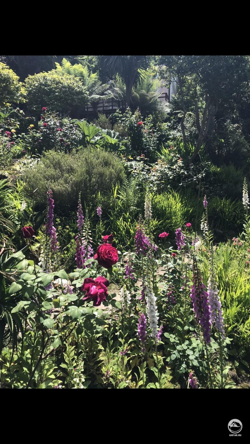 Скрытые жемчужины моего сада