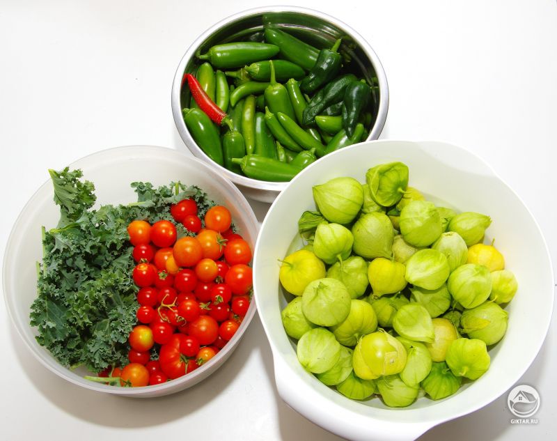 Июльский урожай: пхалапеньо, перец серрано, томаты Черри.