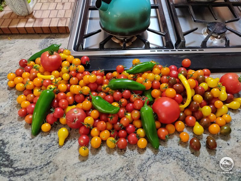 Первый большой урожай этого сезона