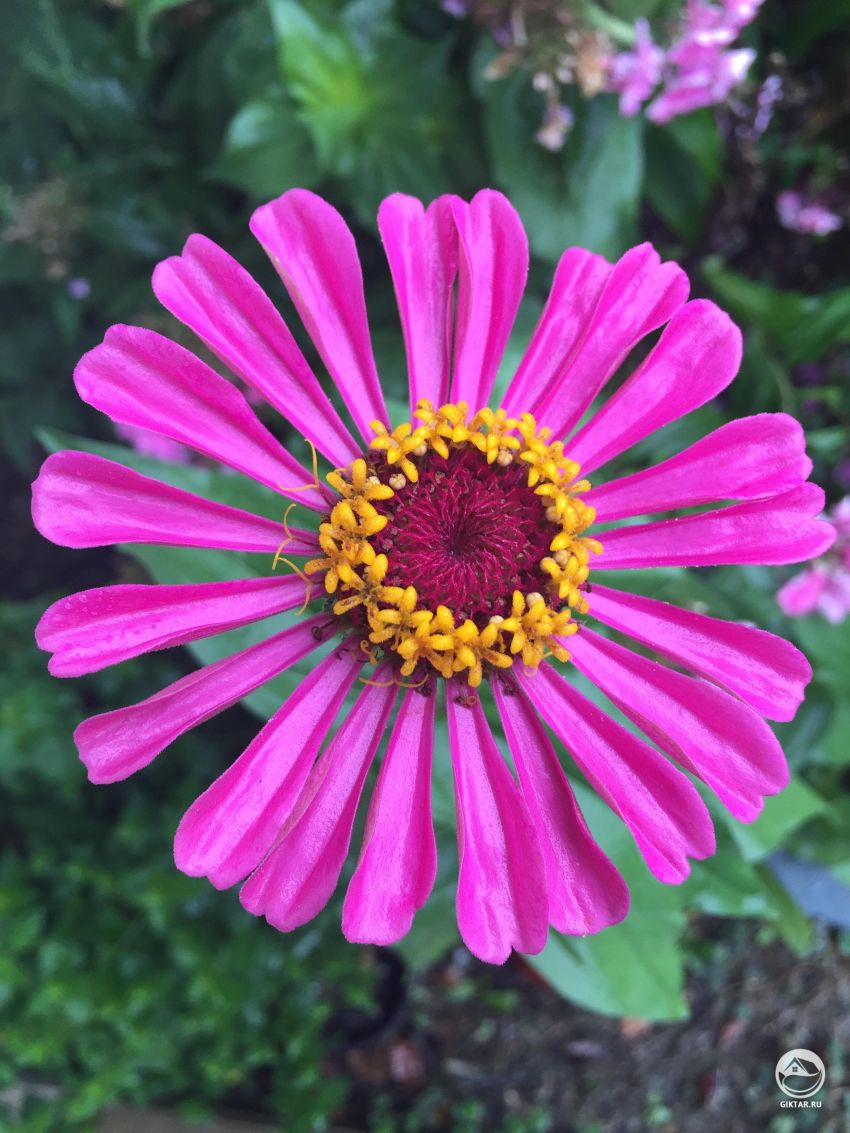 Кто-нибудь знает, что это такое?