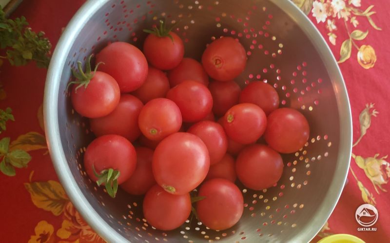 Урожай помидоров