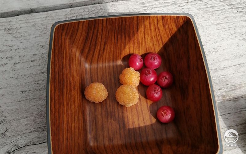 Розовая голубика и желтая малина