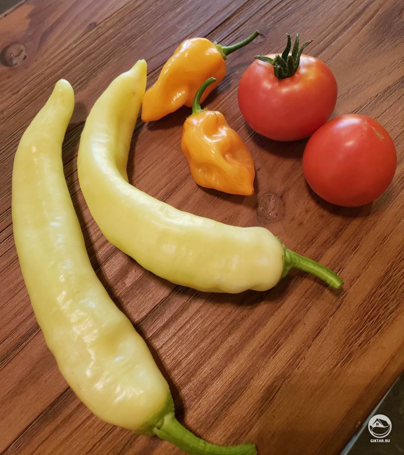 Сегодня урожай : помидоры, сладкий банановый перец, перец хабанеро