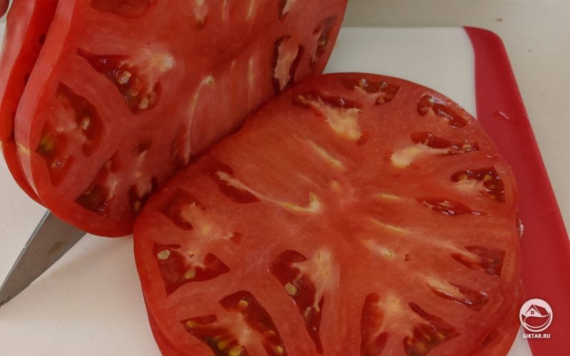 Томаты сорта Брендивайн