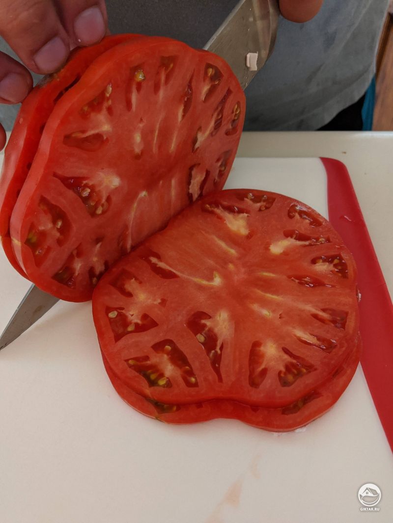 Томаты сорта Брендивайн