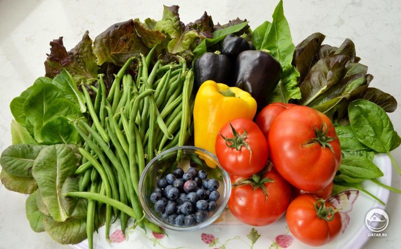 Неплохое лето!