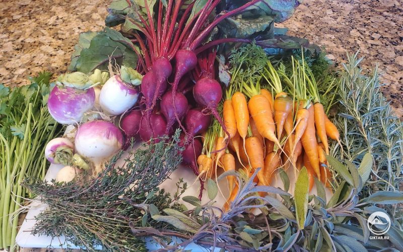 Урожай этого года: морковь, свекла, редька и много трав