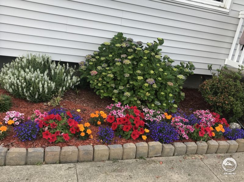 Мой очаровательный маленький палисадник .