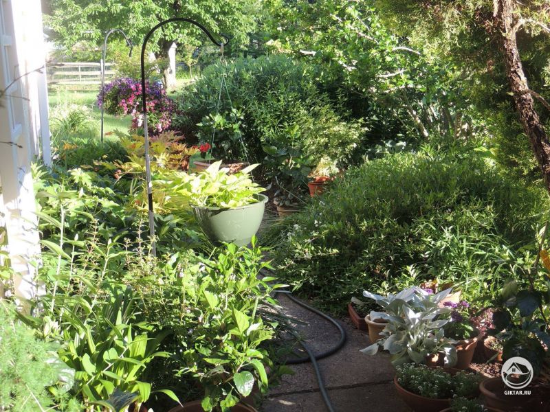 Яркое солнечное утро в саду